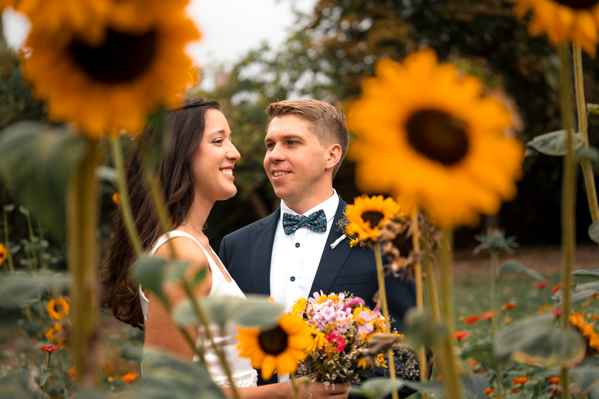 Lucia und Andi bei ihrem Paarshooting zwischen Sonnenblumen im Botanischen Obstgarten